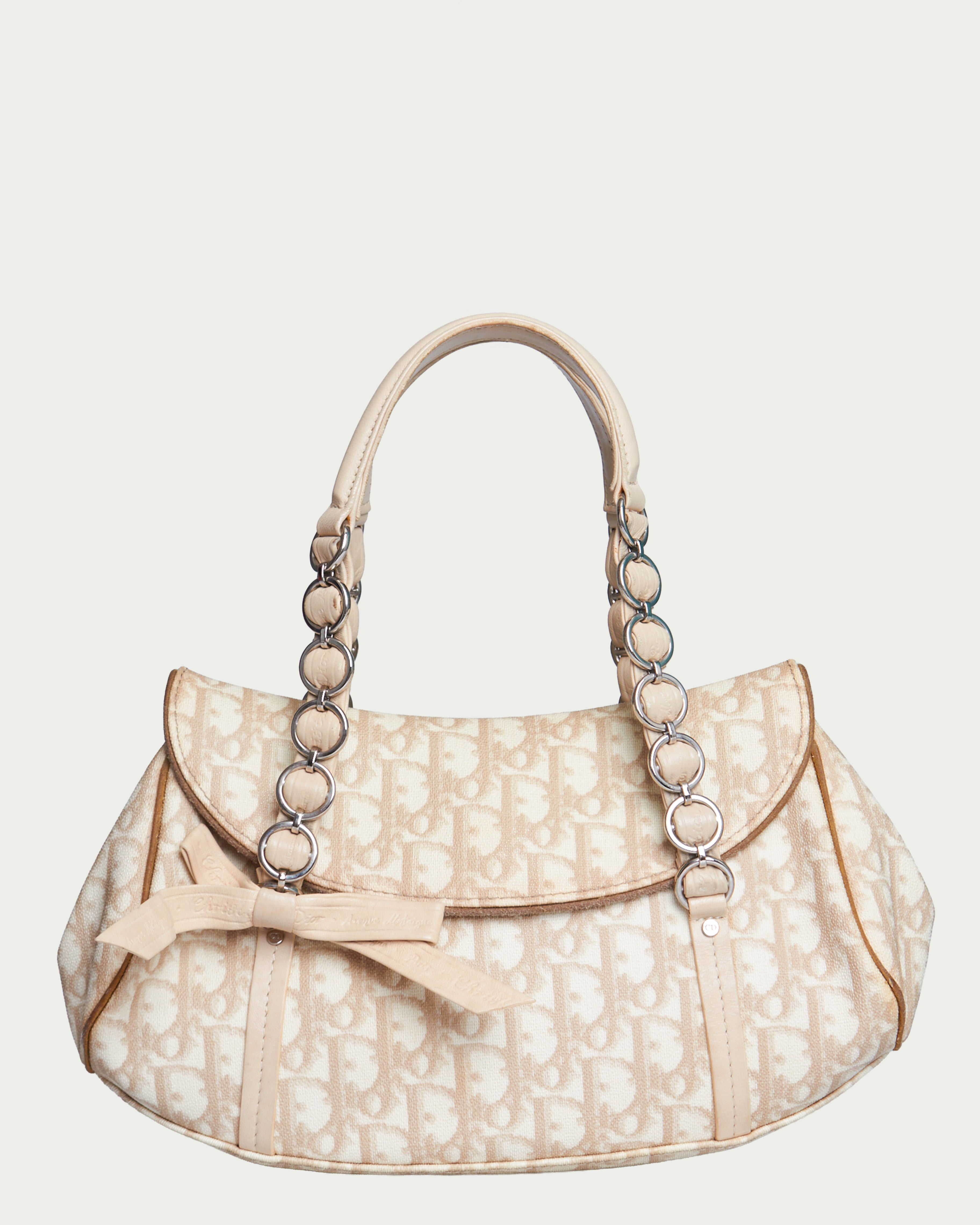 Dior Trotter Romantique Bag