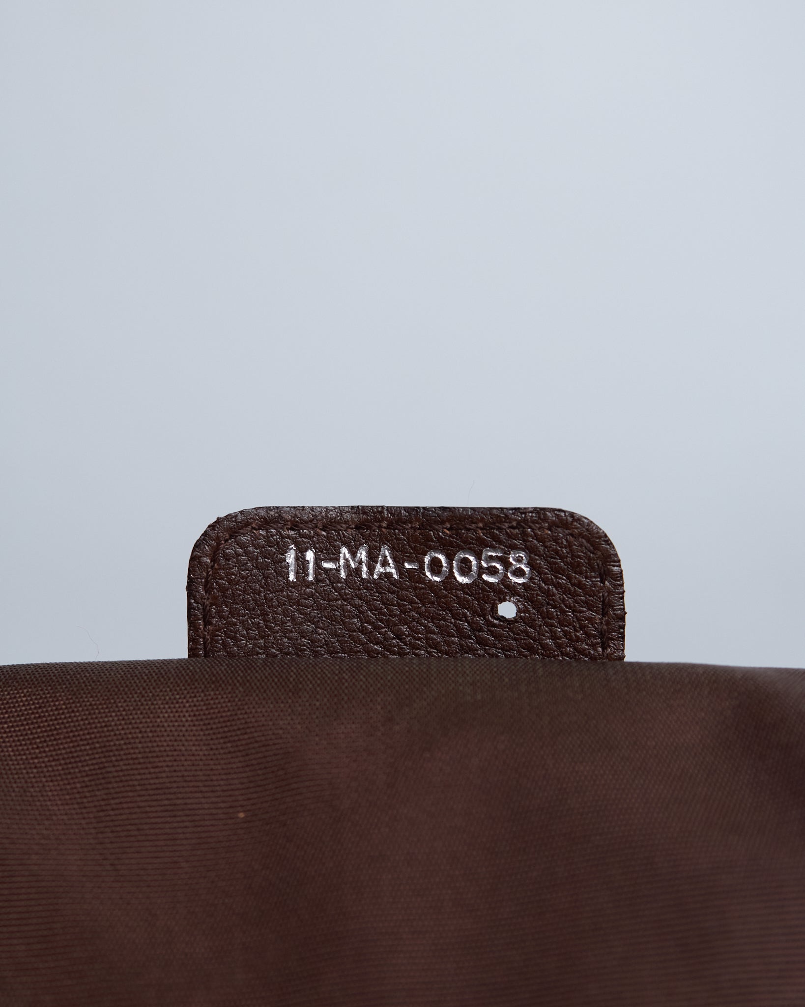 Christian Dior Karenina Frame Bag