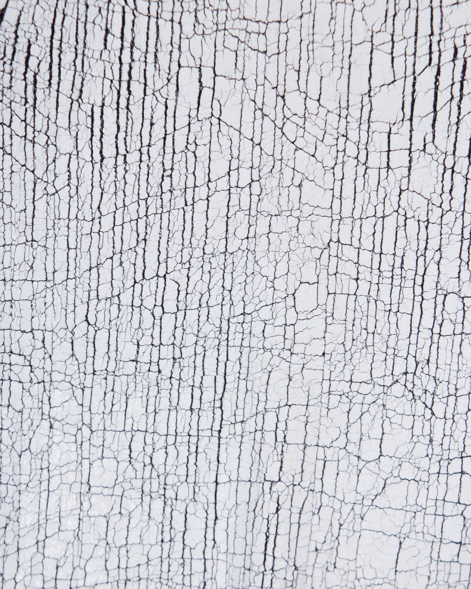 Balenciaga F/W'2013 Cracked Leather Zipped Pull-over