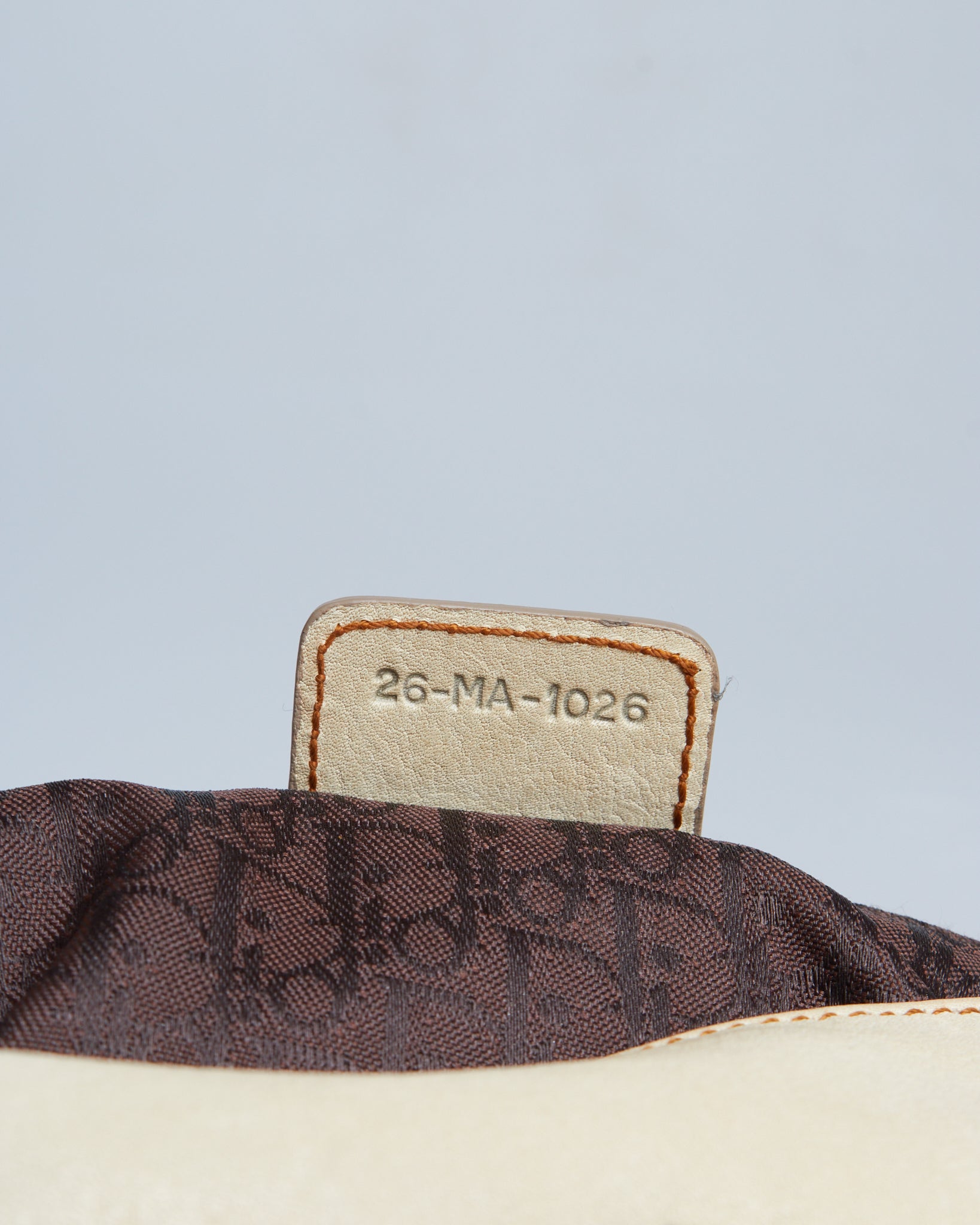 Dior Saddle Gaucho Mini