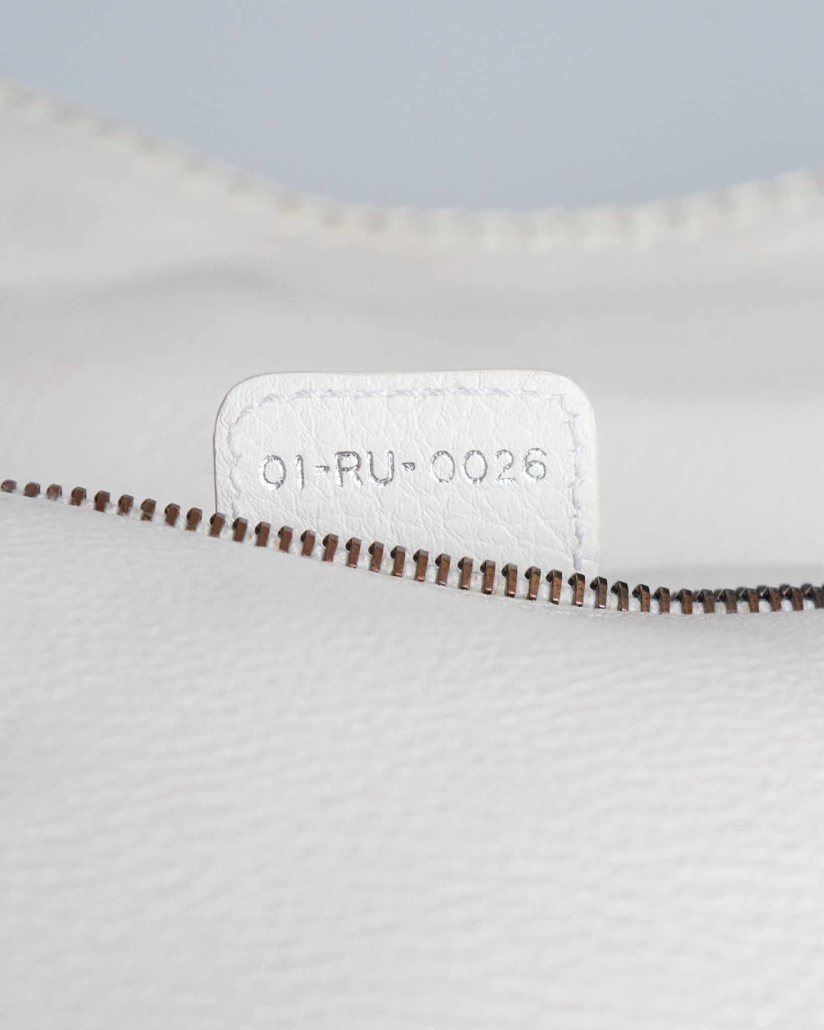 Dior Saddle Gaucho