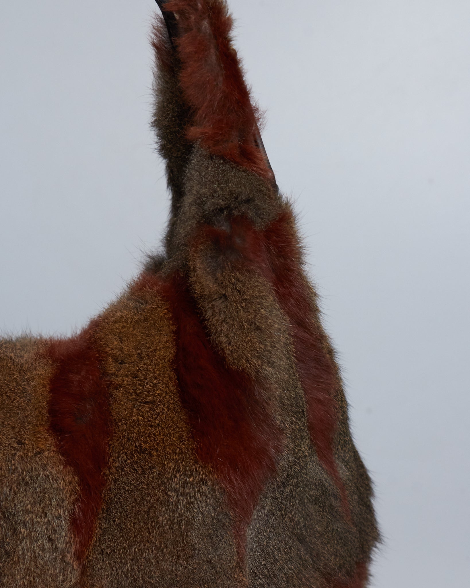 Fendi Fur Hobo