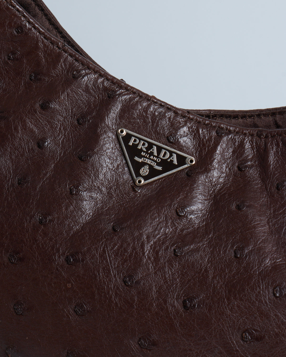 Prada Ostrich Hobo