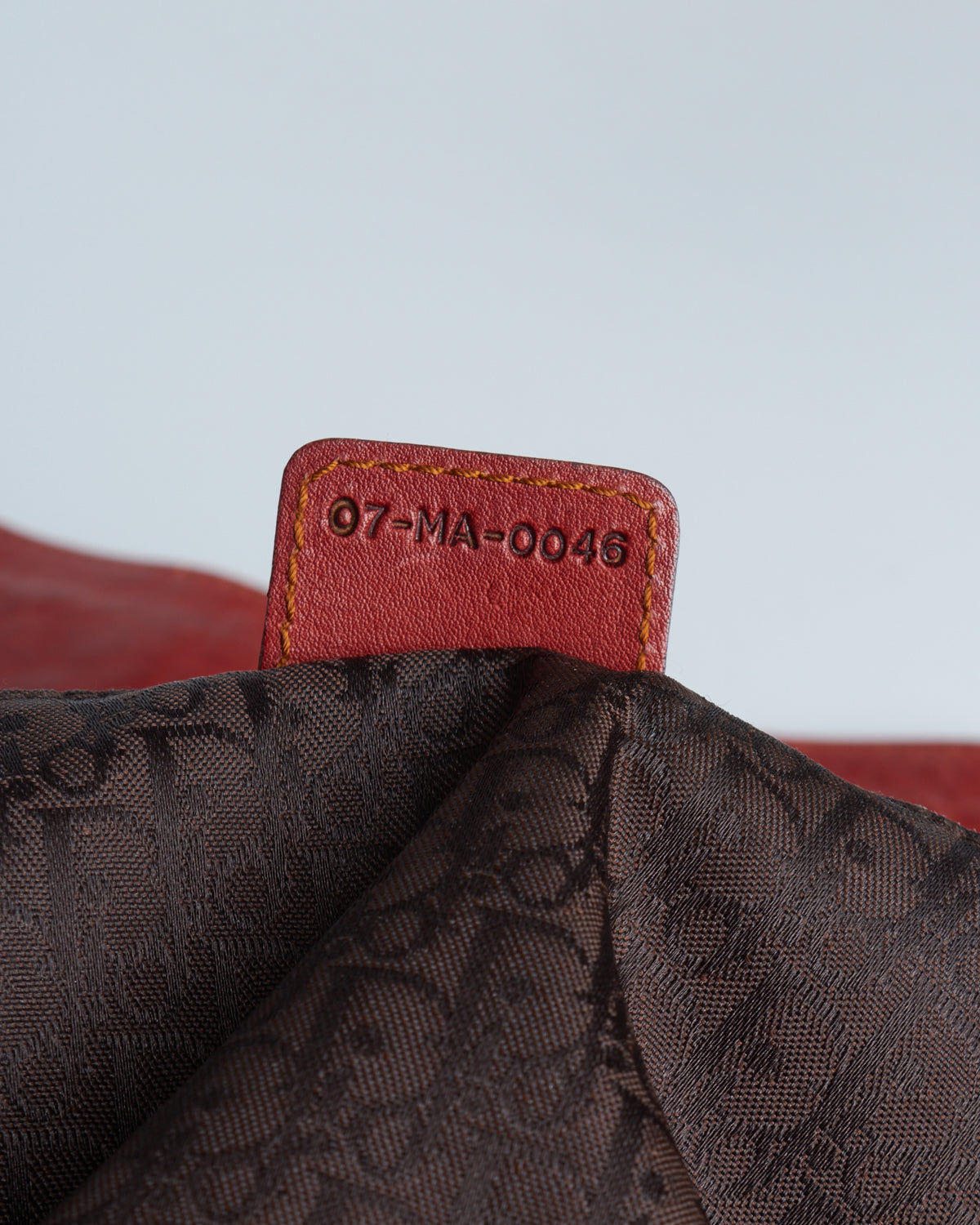 Dior Saddle Gaucho