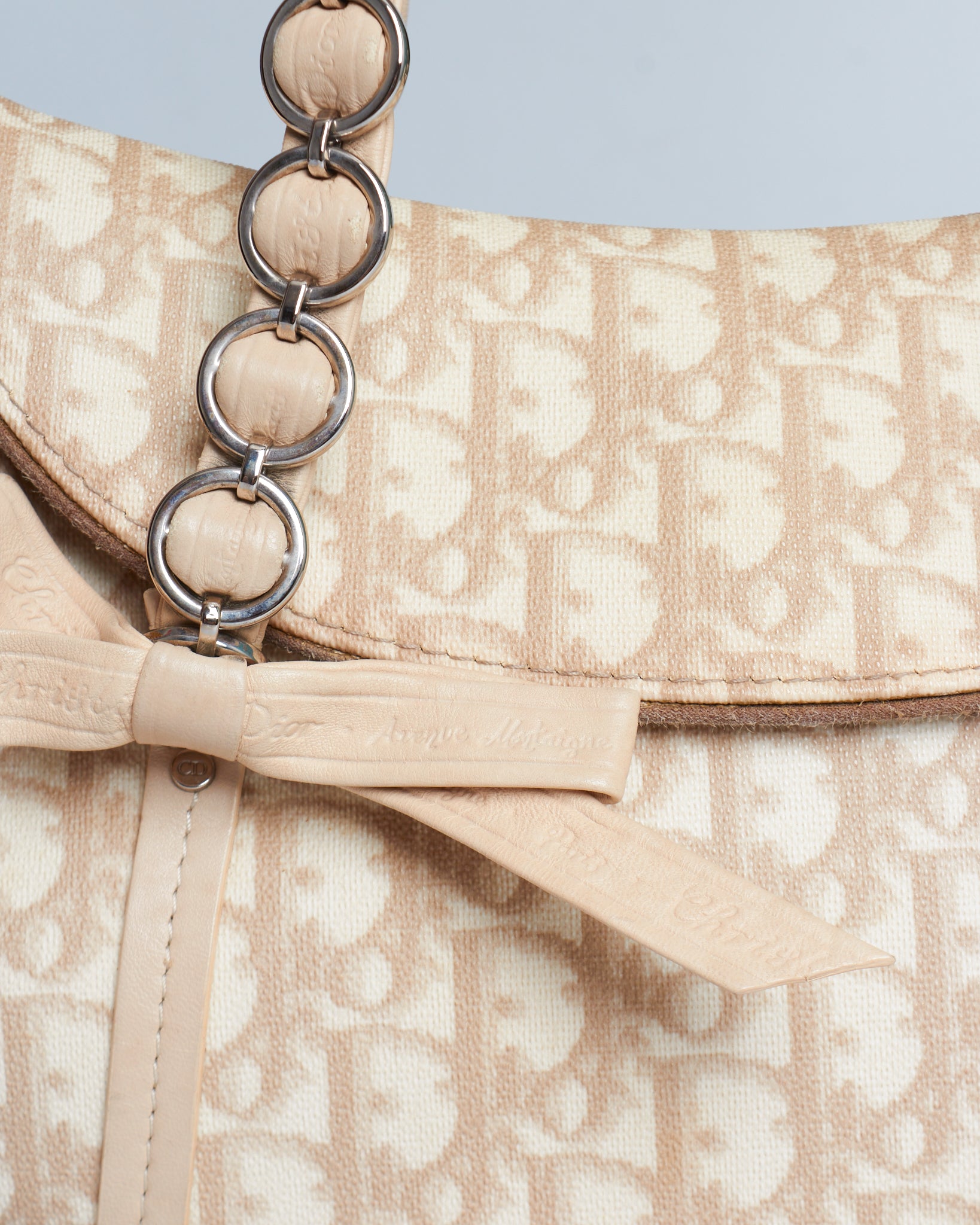 Dior Trotter Romantique Bag