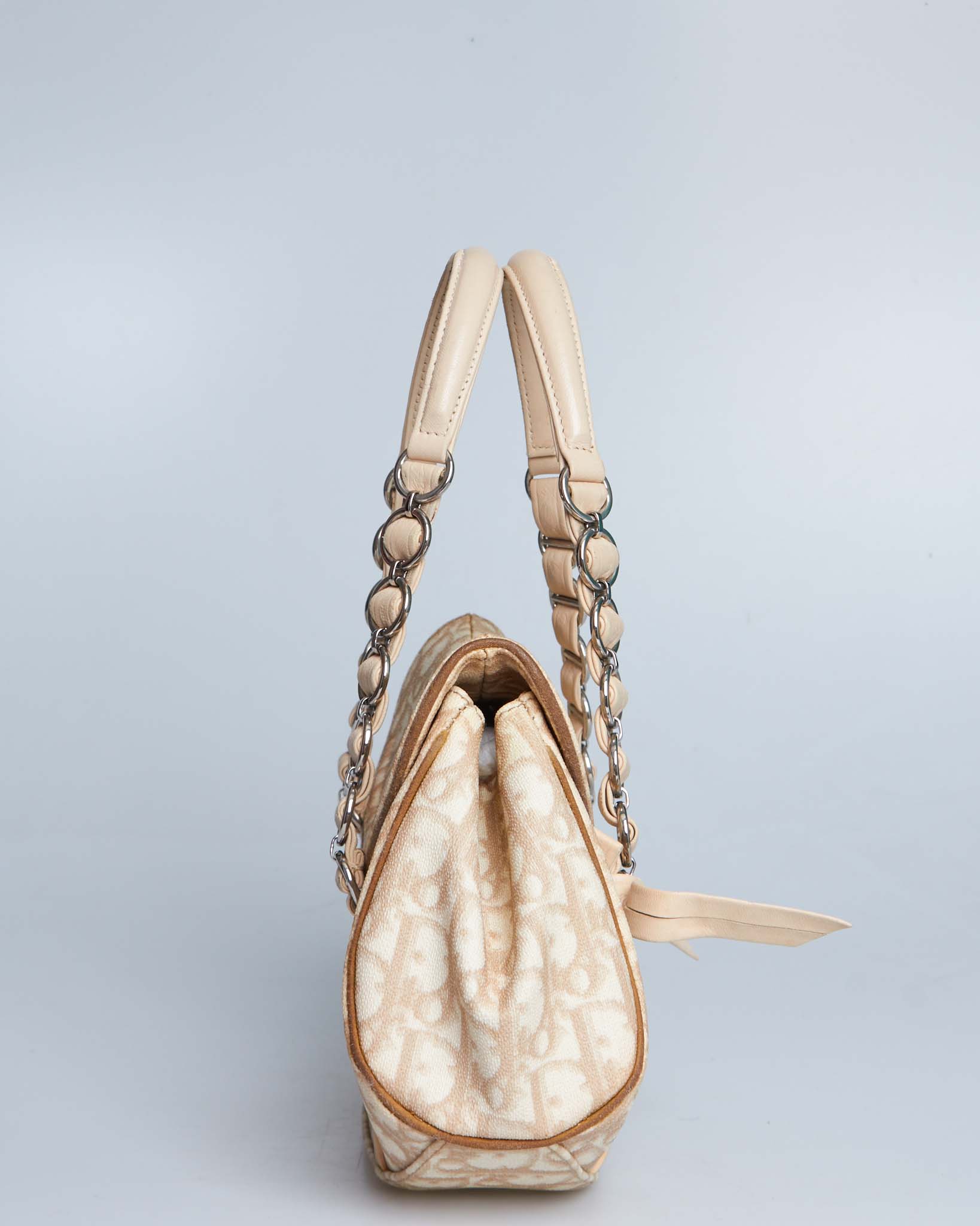 Dior Trotter Romantique Bag