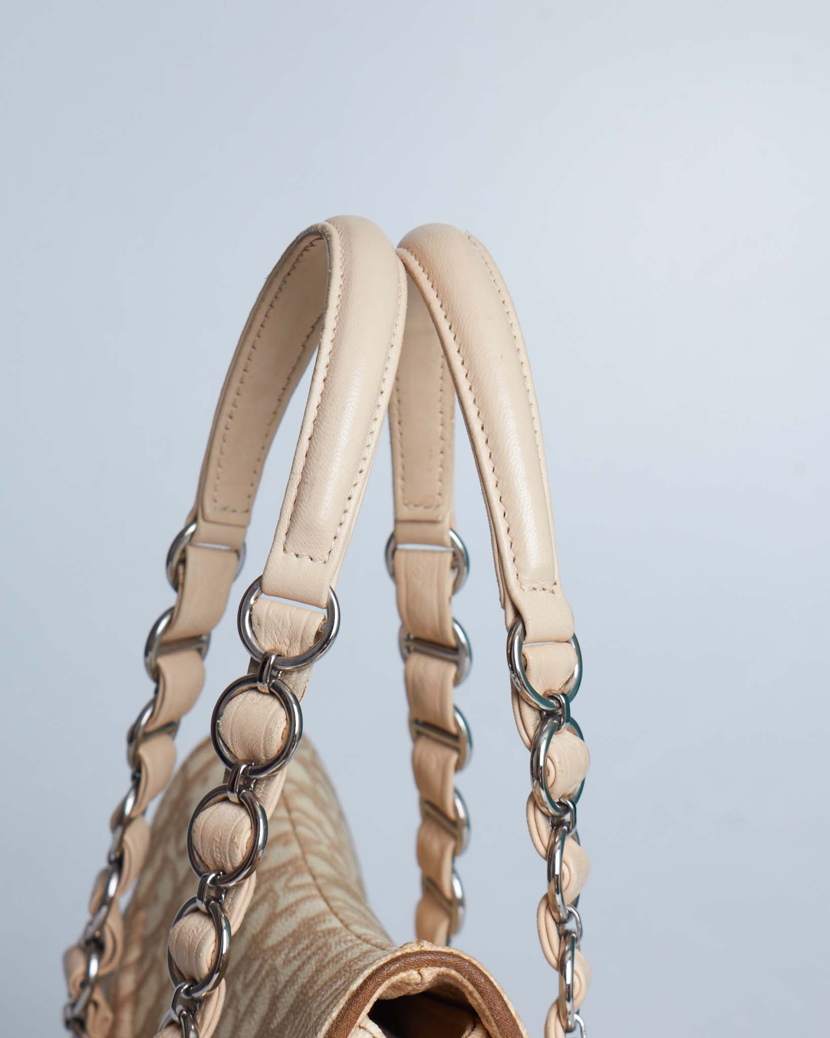 Dior Trotter Romantique Bag