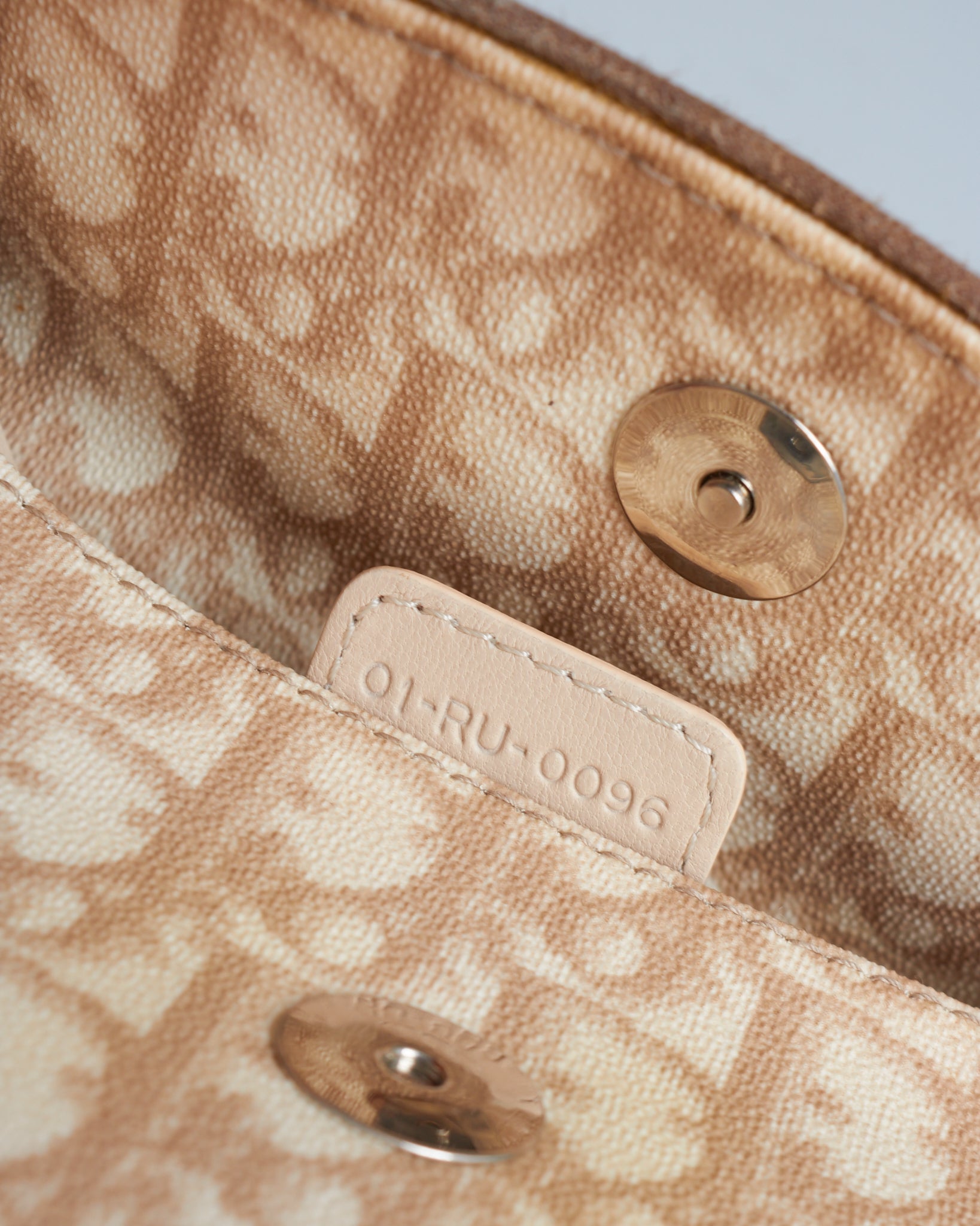 Dior Trotter Romantique Bag